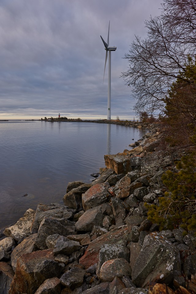 Canon RF 24-50mm_8w.jpg