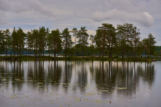 Laowa 100mm macro_6w.jpg