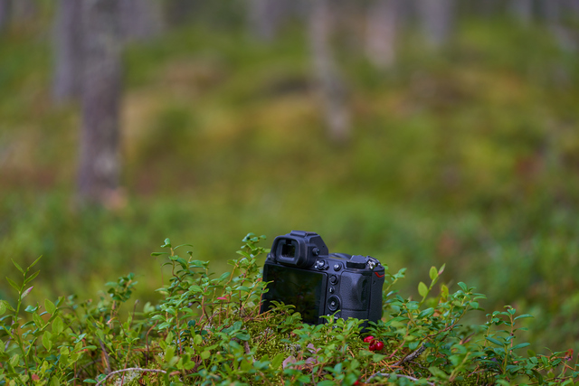 Voigtländer Macro 110mm_3w.jpg