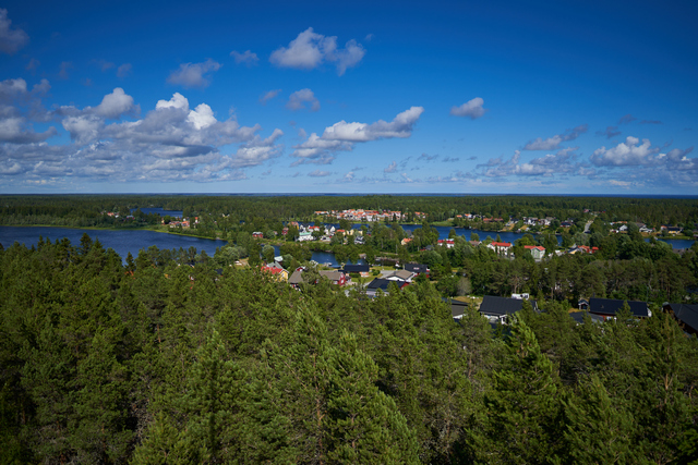 Sony 15mm f1.4_1w.jpg