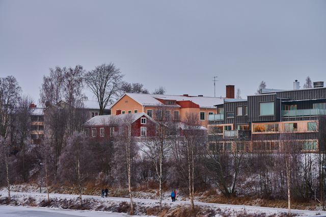 nikon z50 250 dx_45w.jpg