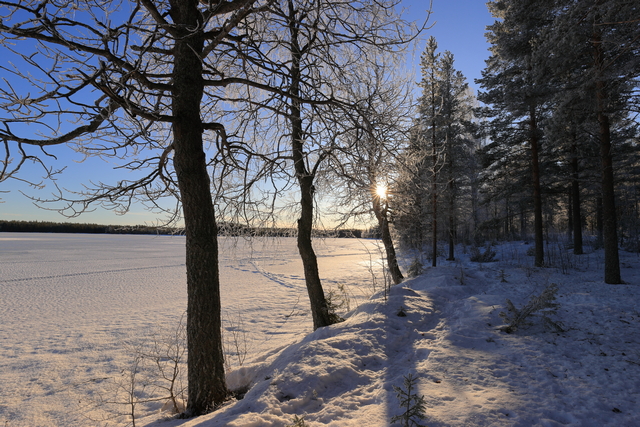 canon eos 1dx mark III_17w.jpg