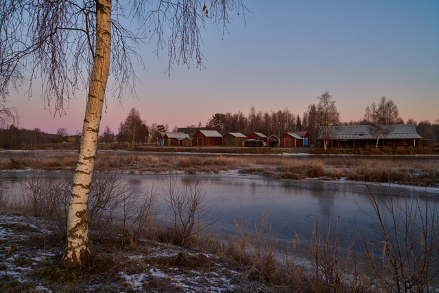 Nikon Z24_1.8S_15w.jpg