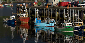 orkney-oarna_0.jpg