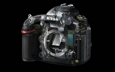 nikon-d800_0.jpg